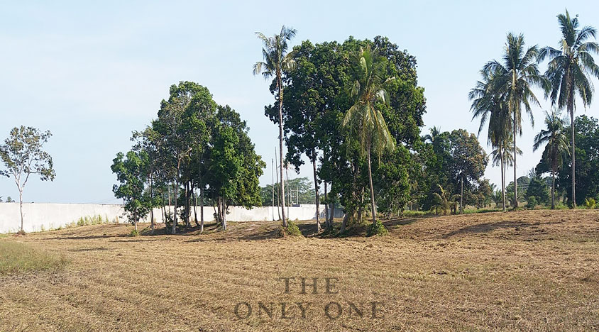 the-onlyone-group-beachfront-land-for-sale-phuket-thaiand-natai-pilai-beach-3